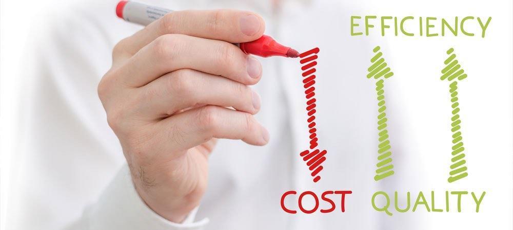 Cost Efficient Peering Management