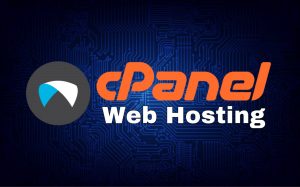 Get Back On Your Feet After COVID-19 Lockdown With Whitelabel ITSolutions’ Sales