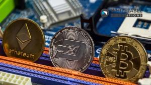 What’s Behind The Sudden Crash Of The Cryptocurrency Market?