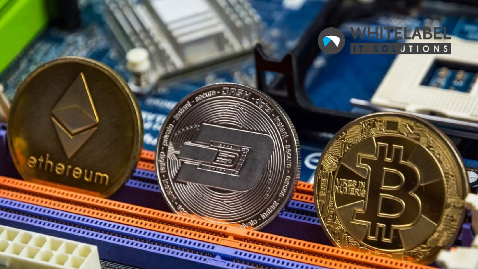 What’s Behind The Sudden Crash Of The Cryptocurrency Market?